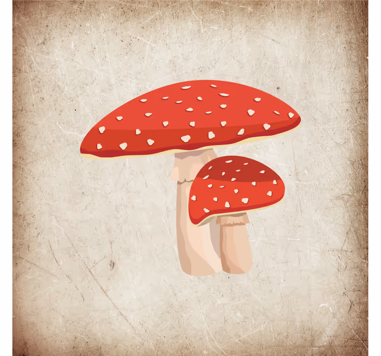 Cortina roller cocina ilustración de hongo amanita - TenVinilo