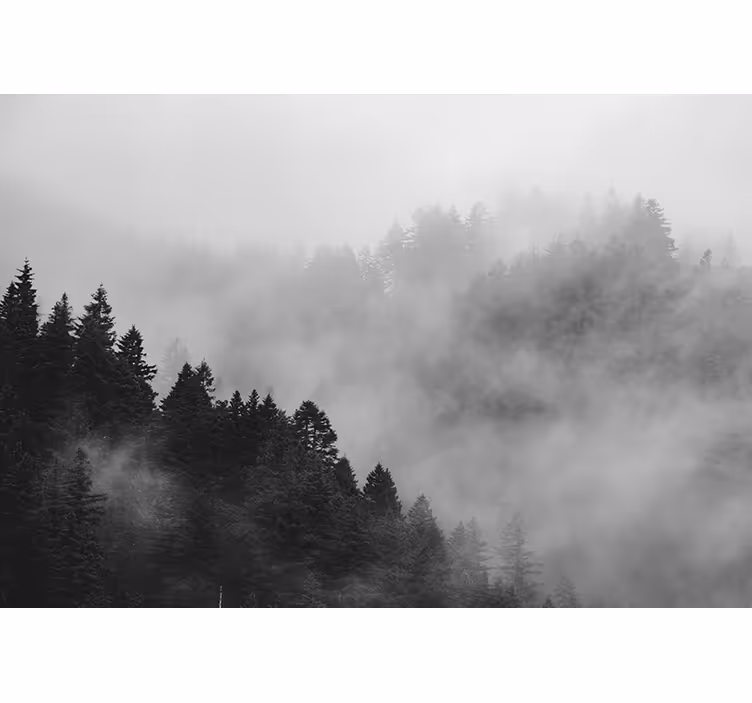 Cortina roller gris bosque brumoso en blanco y negro - TenVinilo