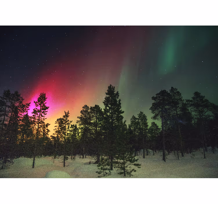 Cortina roller habitación auroras boreales sobre árboles - TenVinilo