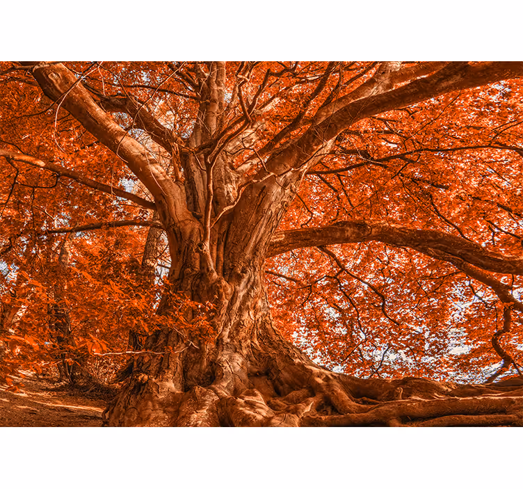 Cortina roller habitación gran árbol otoñal hermoso - TenVinilo