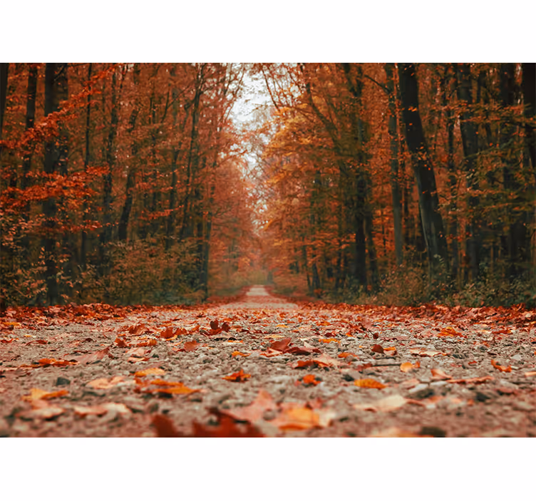 Cortina roller habitación hojas de otoño coloridas - TenVinilo