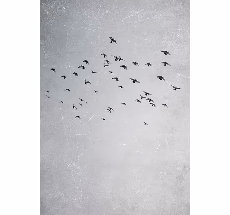Cortina roller habitación pájaros volando - TenVinilo