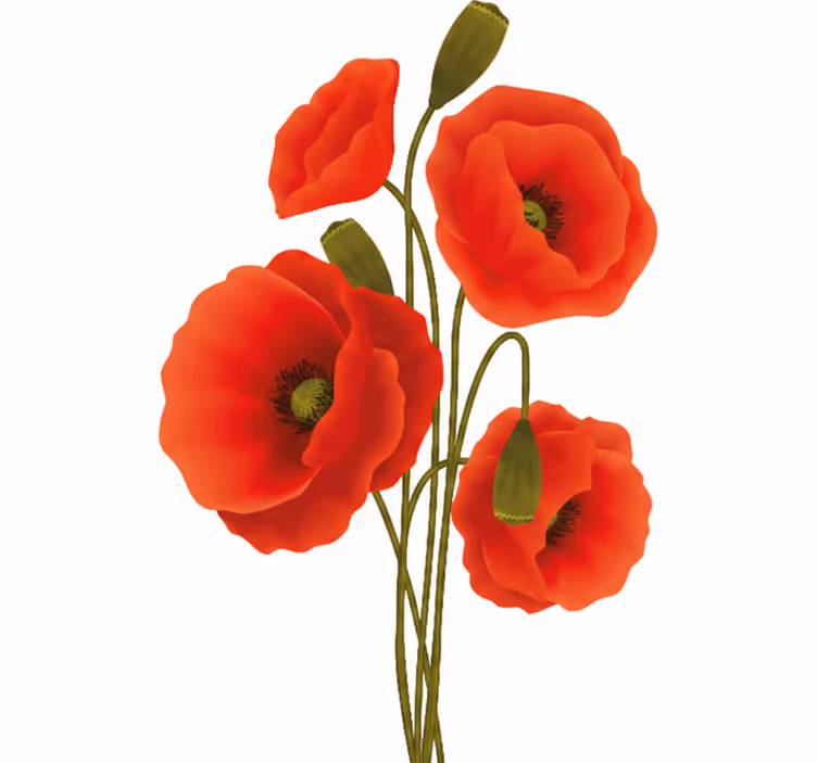 Cortina roller floral amapolas - TenVinilo