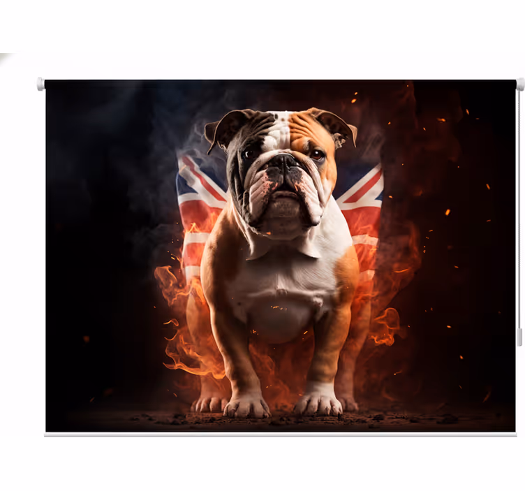 Cortina roller juvenil bulldog inglés en llamas - TenVinilo