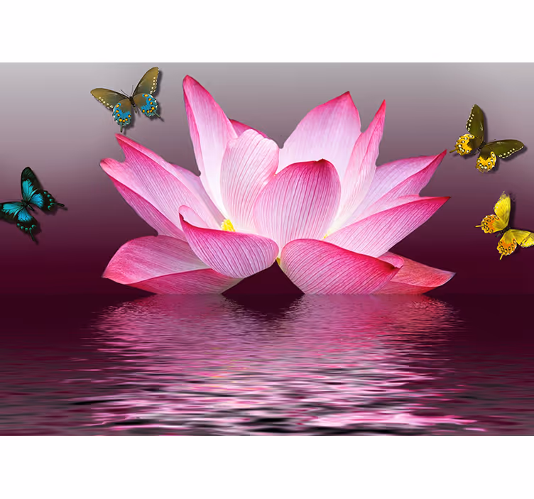 Cortina roller zen flor de loto rosa con mariposas - TenVinilo