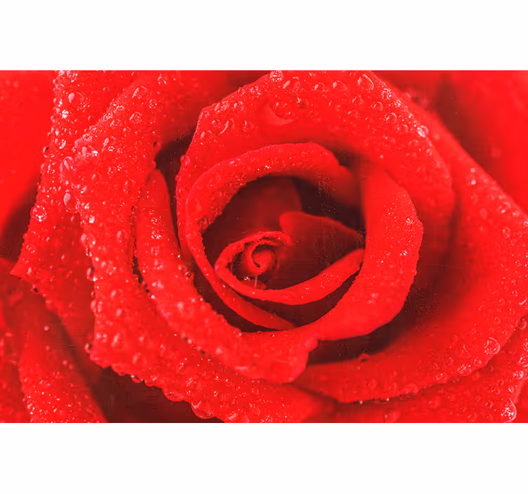 Cortina roller roja flor de rosa - TenVinilo
