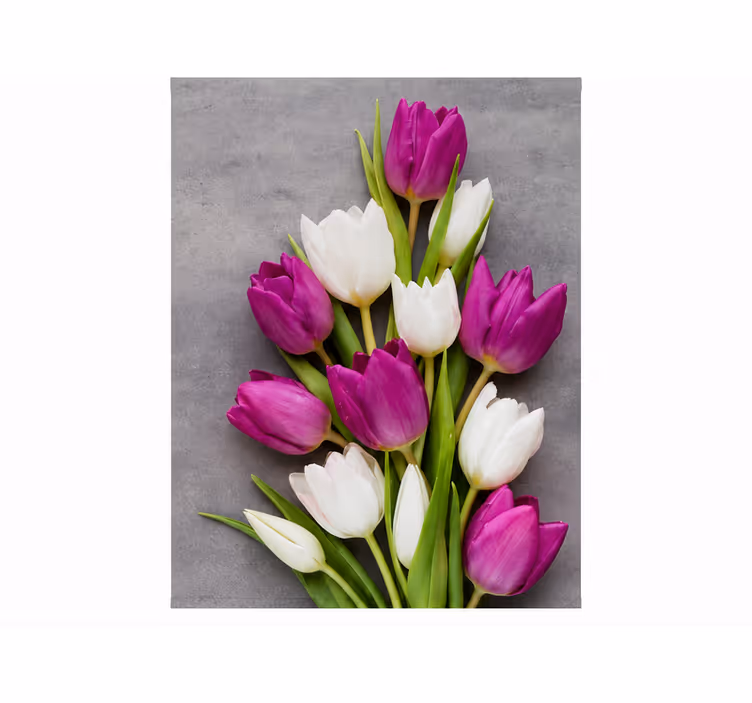 Cortina roller morada tulipanes reales - TenVinilo