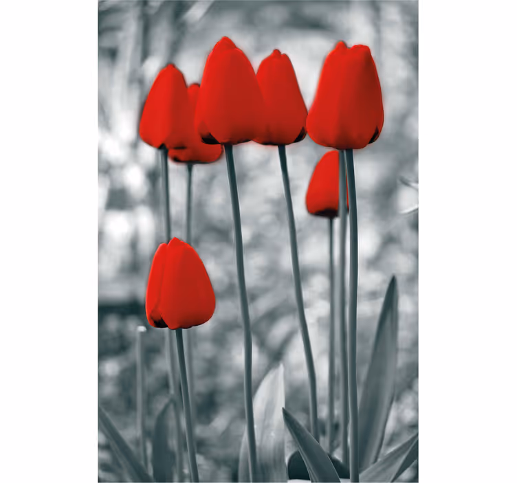 Estor estampado floral de tulipanes rojos - TenVinilo
