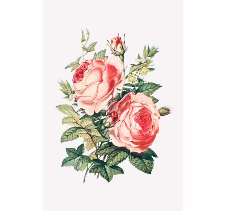 Cortina roller flores brotes de rosa romántica - TenVinilo