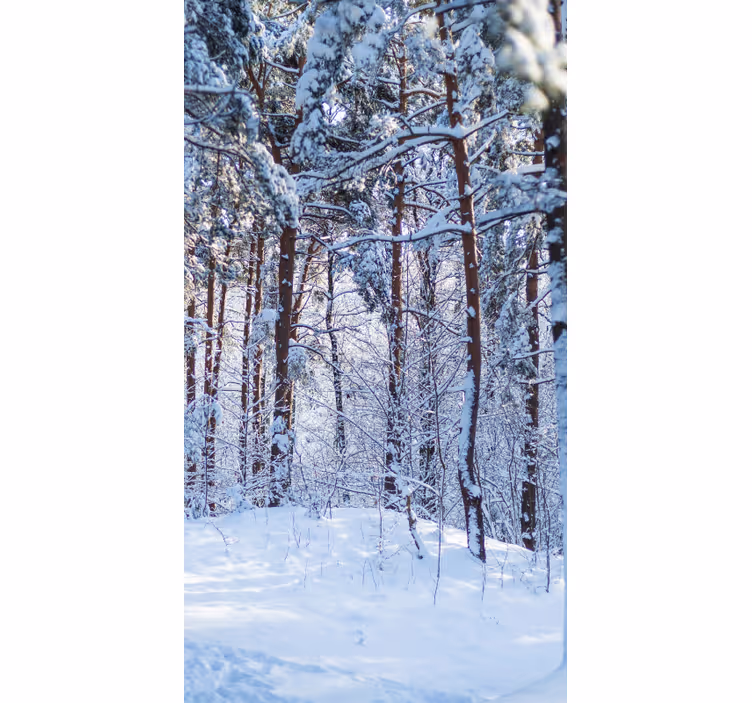 Estor original Bosque blanco con grandes arboles - TenVinilo