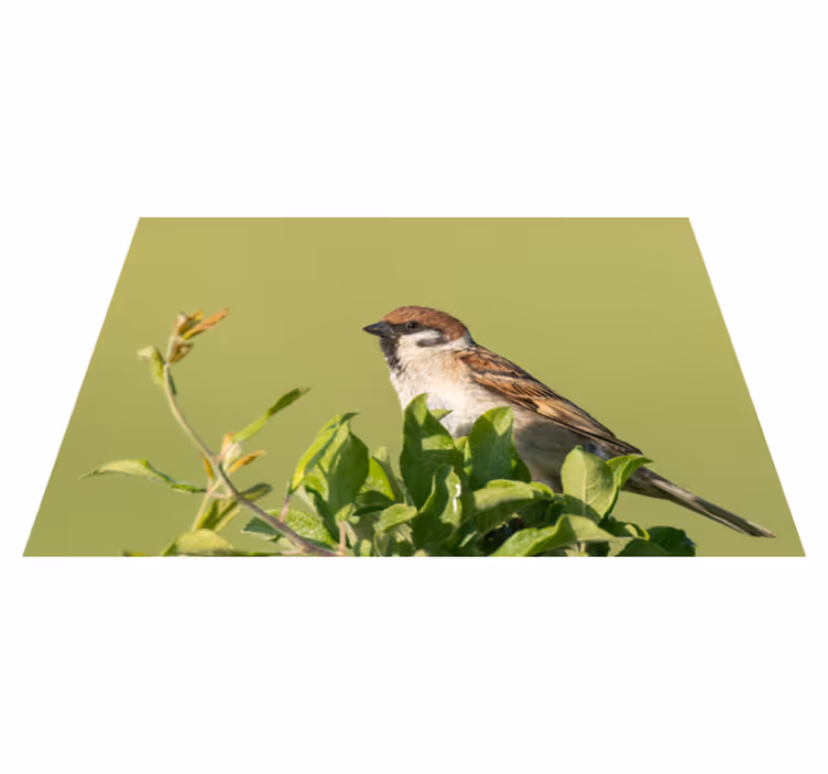 Individual mesa moderno pájaro en verde - TenVinilo