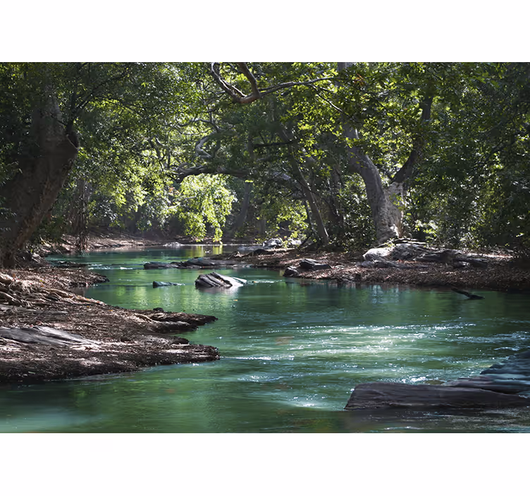 Mural de naturaleza paisaje del río sereno - TenVinilo