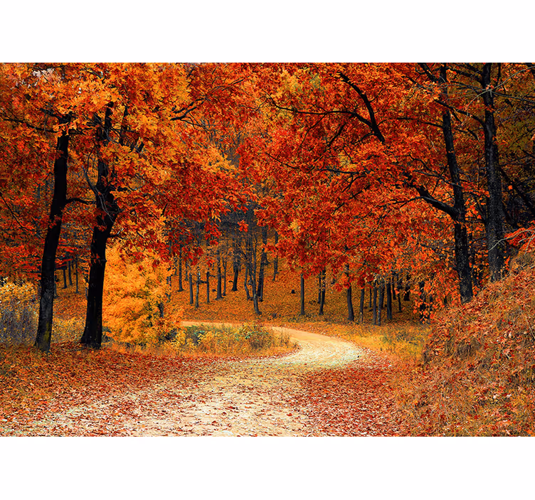 Foto mural de paisaje otoño arbolado - TenVinilo