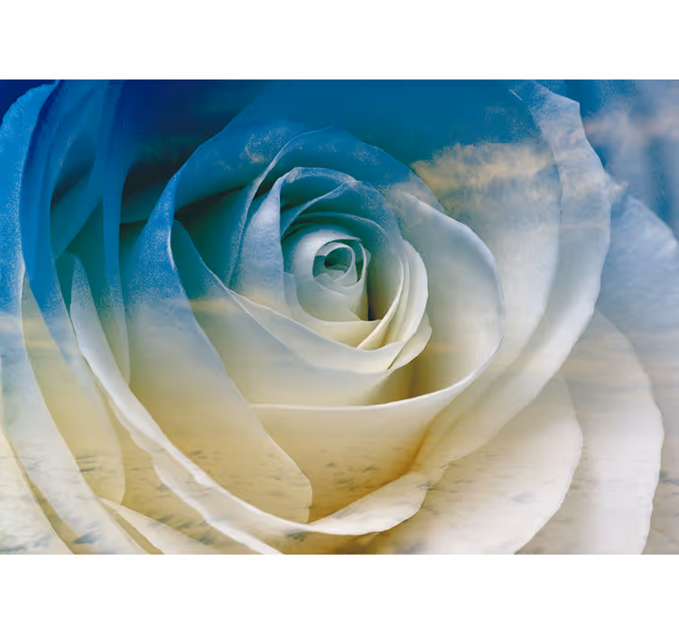 Mural de flores elegancia de flor de rosa - TenVinilo