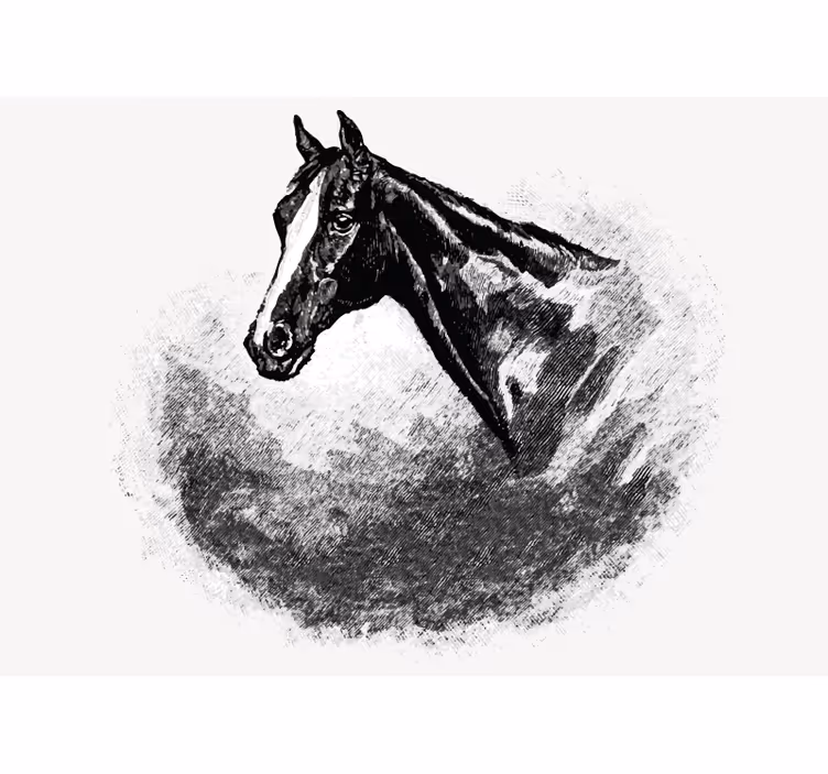 Fotomural animale Caballos de grafito - TenVinilo