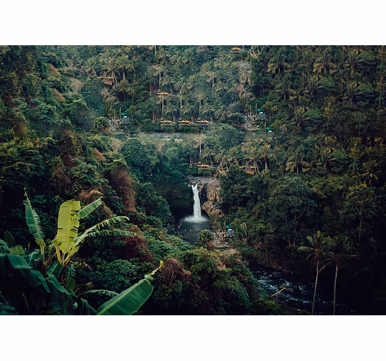 Mural de naturaleza cascada en la jungla exuberante - TenVinilo