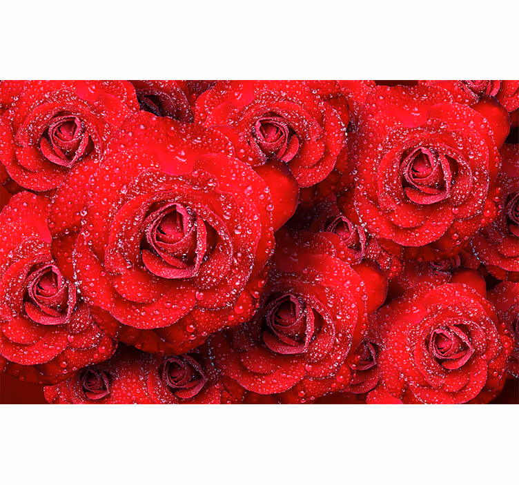 Mural de rosas rosas rojas en floración - TenVinilo