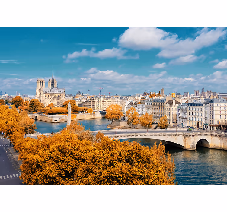 Mural de parís vista de notre dame en otoño - TenVinilo