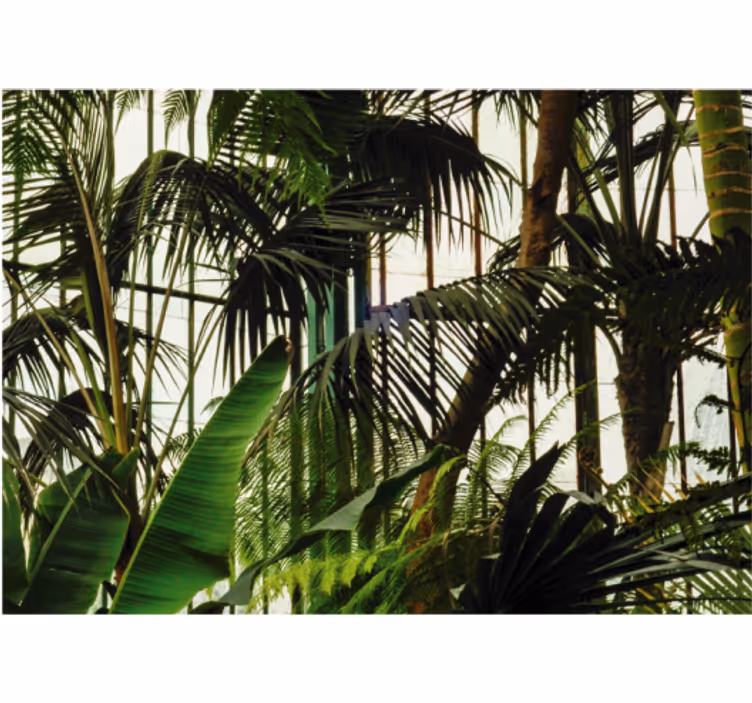 Mural de naturaleza follaje tropical vivo - TenVinilo