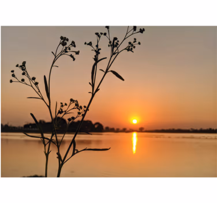Fotomural lago Puesta de sol en el lago - TenVinilo