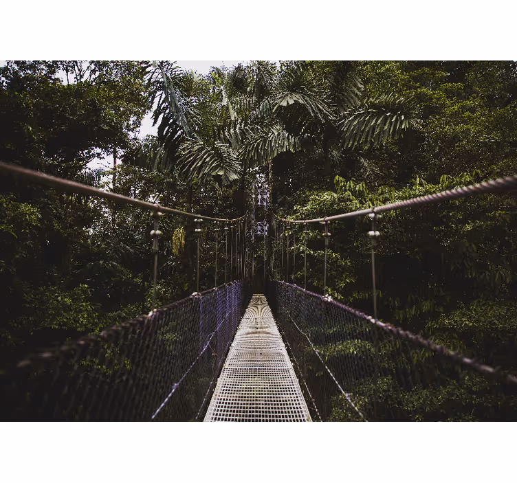 Mural de naturaleza aventura en puente colgante - TenVinilo