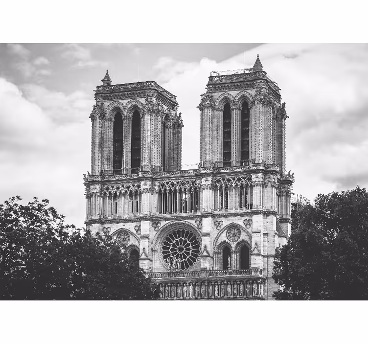 Mural de París catedral de notre dame - TenVinilo