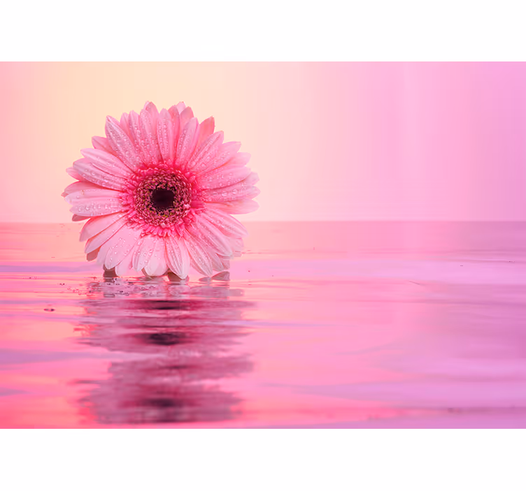 Mural amapolas reflejo de flor rosa - TenVinilo