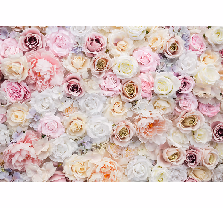 Fotomural flores Hermoso fondo de rosas - TenVinilo