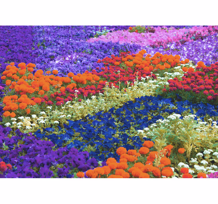 Mural flores campo colorido - TenVinilo