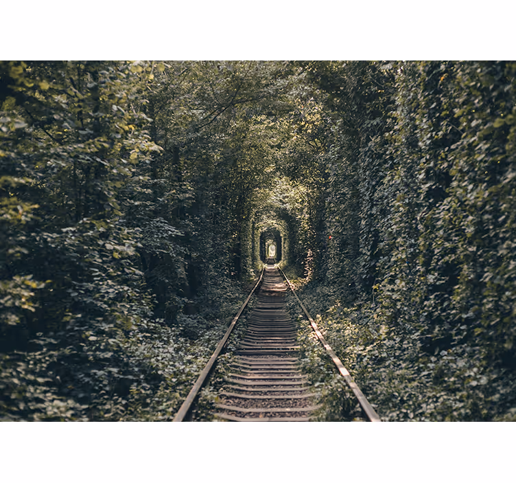 Mural de paisajes túnel ferroviario naturaleza - TenVinilo