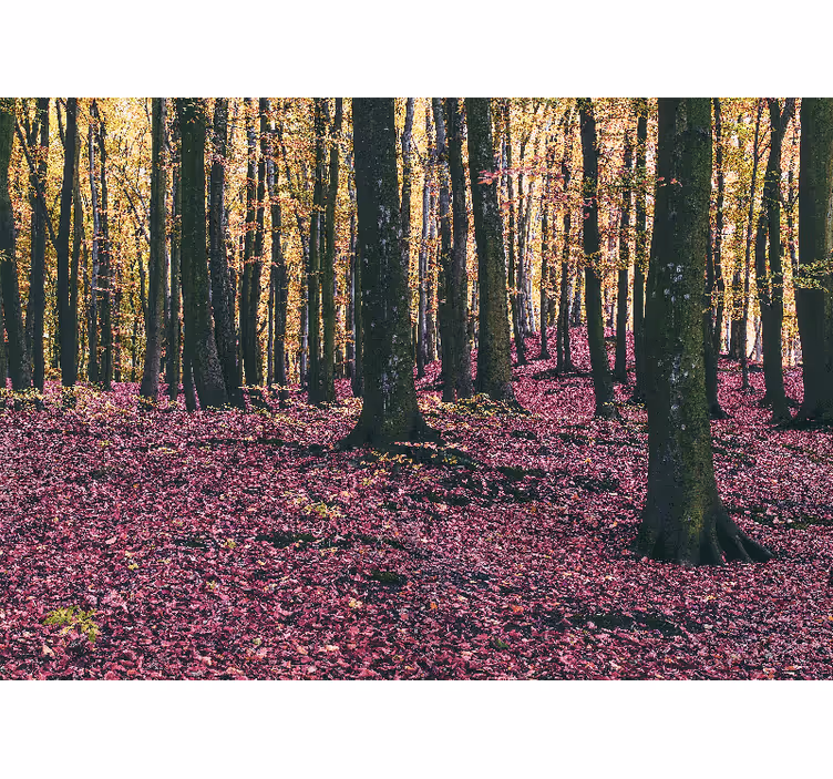 Fotomural naturaleza Arkadia bosque dorado - TenVinilo