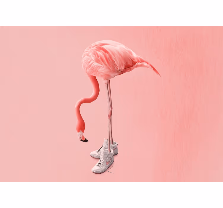 Mural de animales flamenco con zapatillas - TenVinilo