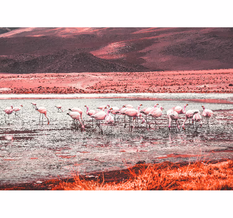 Mural de animales escena de hábitat de flamencos - TenVinilo