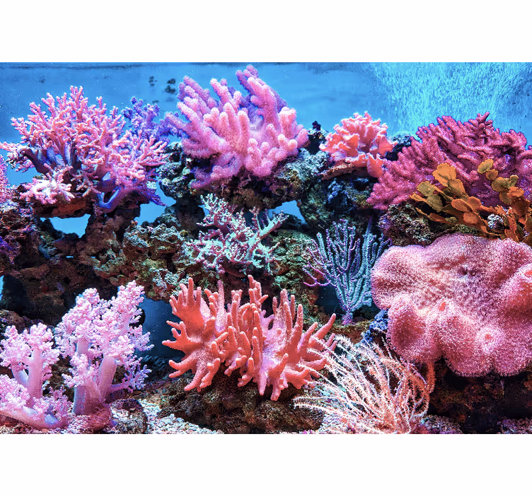 Mural de mar escena de coral acuático - TenVinilo