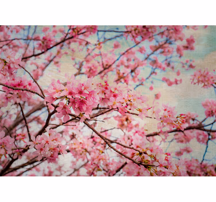 Mural de flores ramas de sakura - TenVinilo