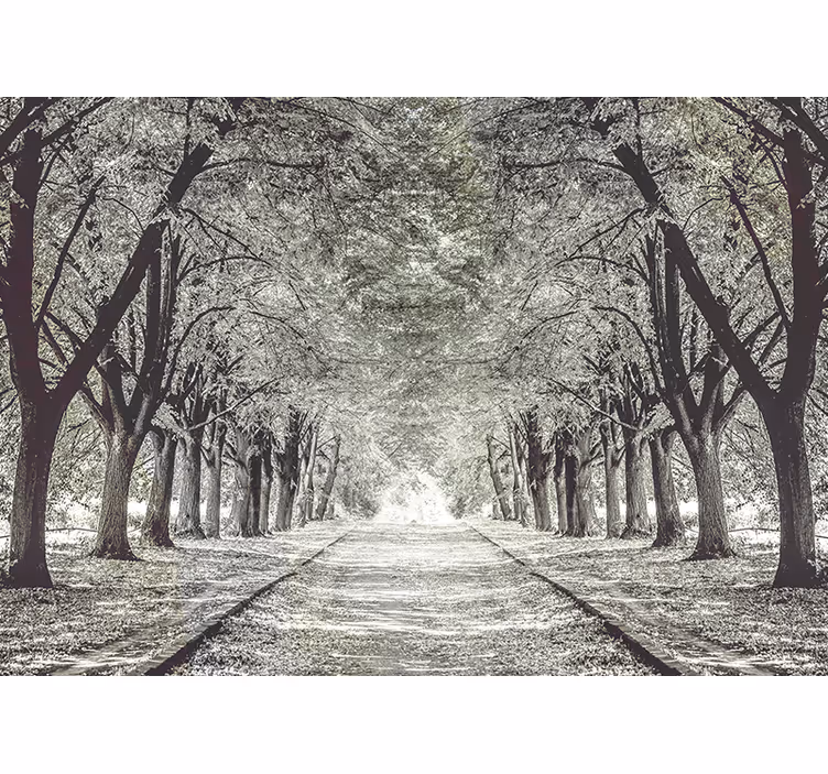 Fotomural de bosque Camino con arboles - TenVinilo