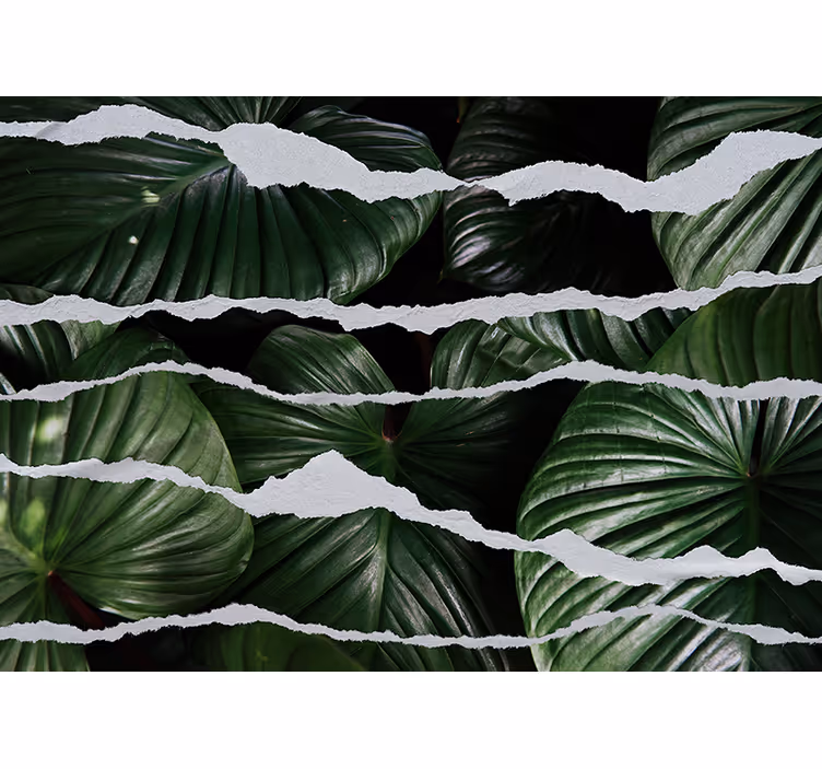 Mural de naturaleza diseño de hojas lujosas - TenVinilo