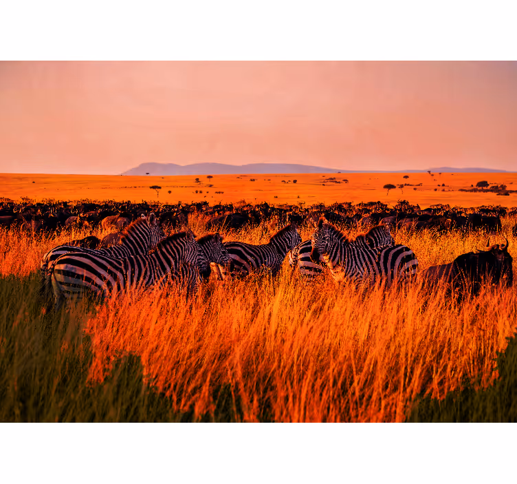 Mural de naturaleza zebras en el serengeti - TenVinilo