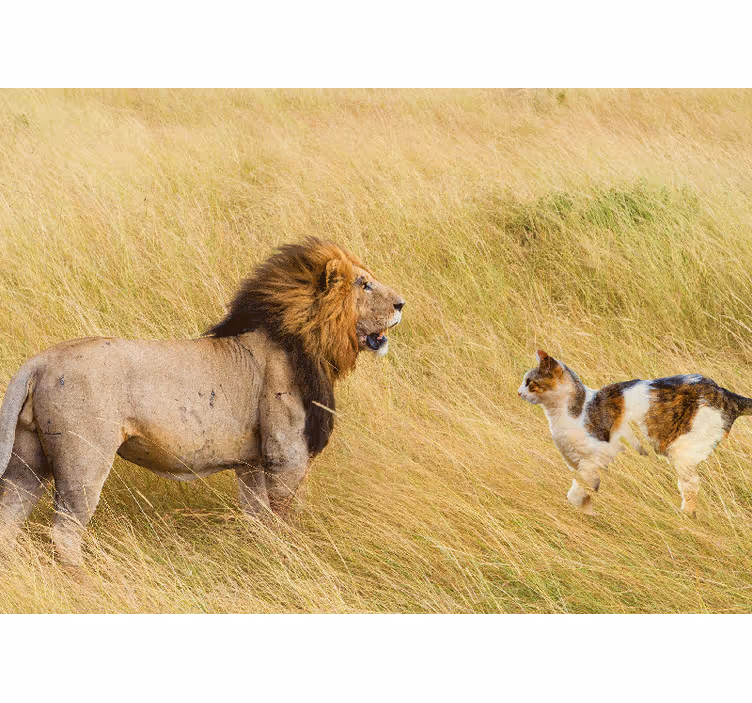 Mural de leones encuentro con gato - TenVinilo