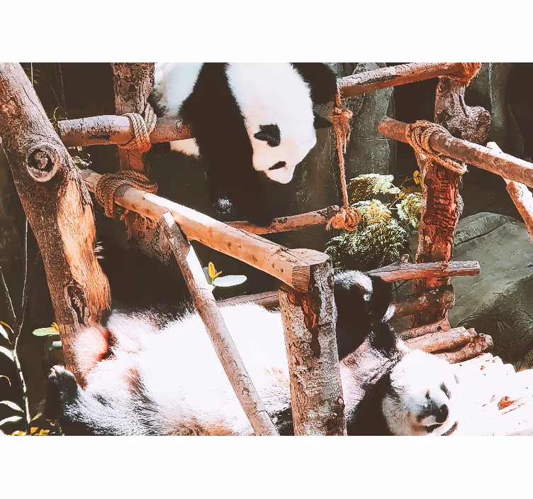 Mural de animales escena de juego con pandas - TenVinilo