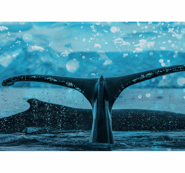 Mural de animales aletazo de ballena - TenVinilo