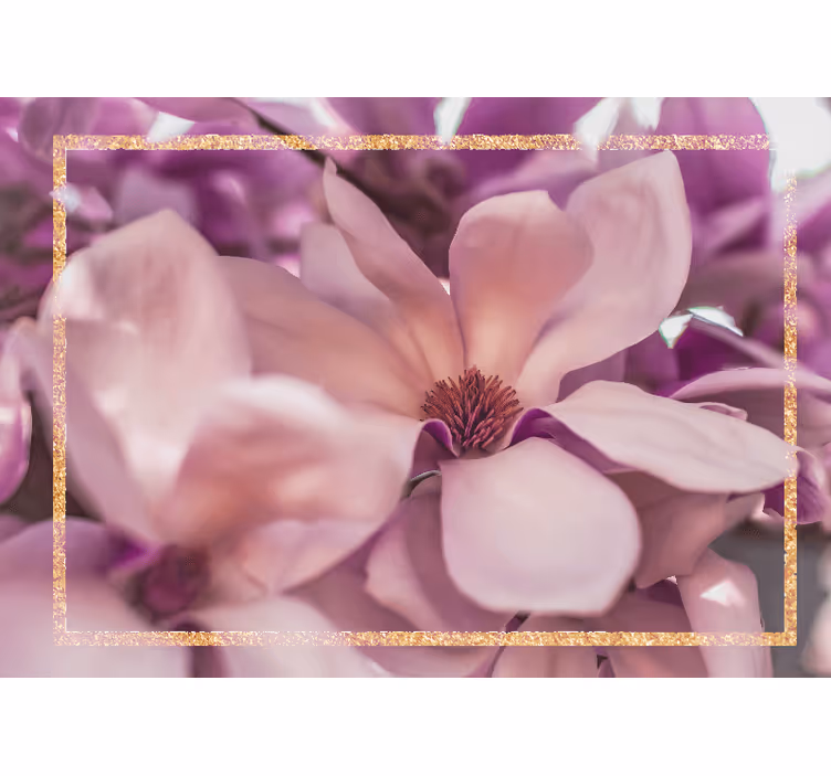 Fotomural de magnolias Flores de magnolia blanca y rosa - TenVinilo