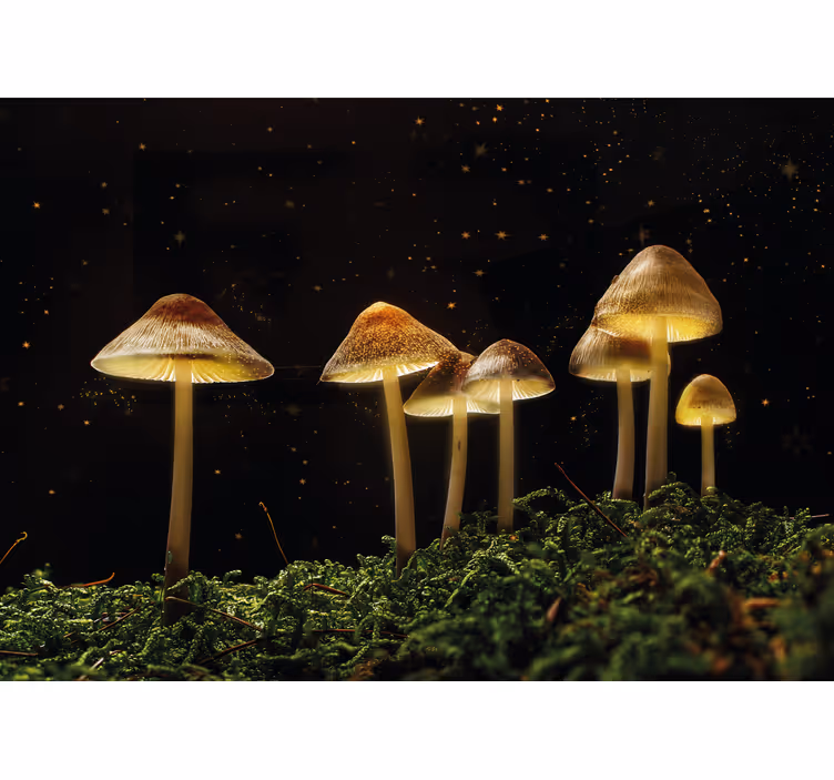 Mural de naturaleza escena de hongos luminosos - TenVinilo