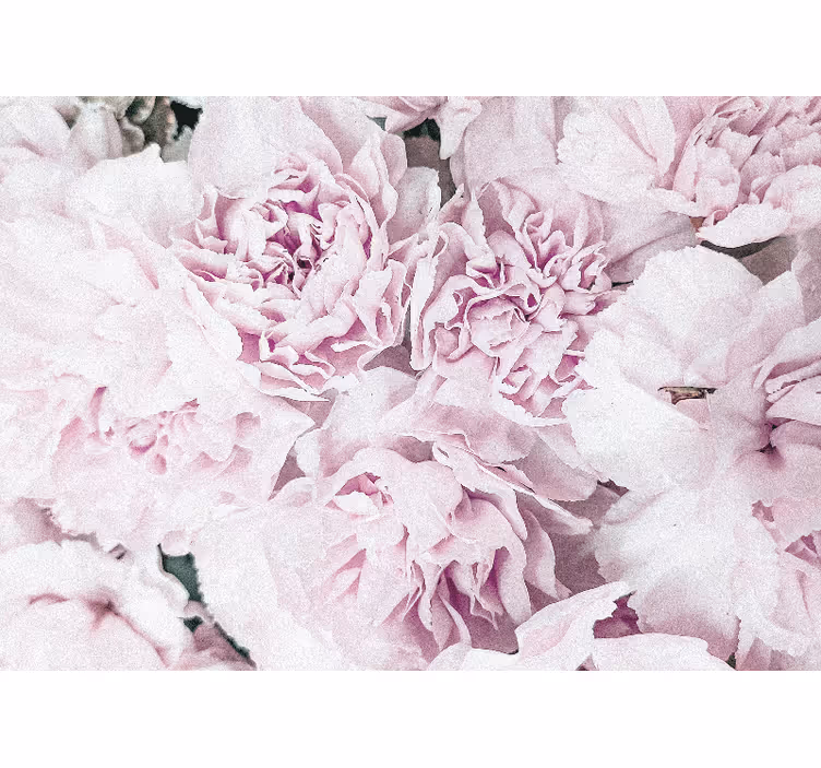 Mural de flores en suaves tonos rosas - TenVinilo