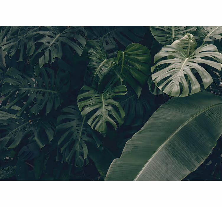 Mural de naturaleza verde tropical vibrante - TenVinilo
