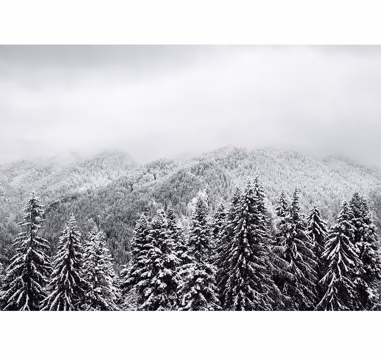 Mural de naturaleza paisaje boscoso invernal - TenVinilo