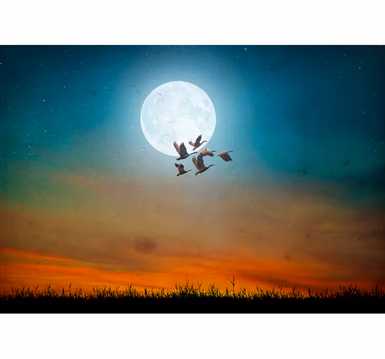 Mural de naturaleza cielo nocturno en aves - TenVinilo