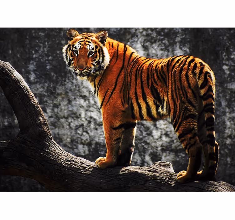 Mural de animales tigre regal en postura majestuosa - TenVinilo