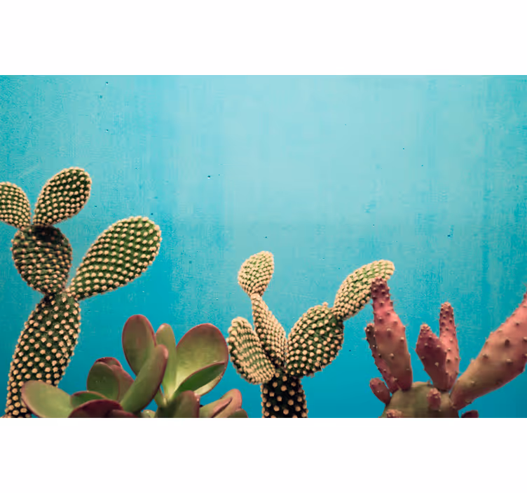 Fotomural flores Cactus plantas pared azul - TenVinilo