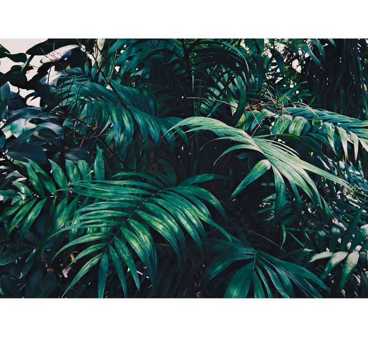 Fotomural naturaleza Plantas tropicales amazónicas - TenVinilo